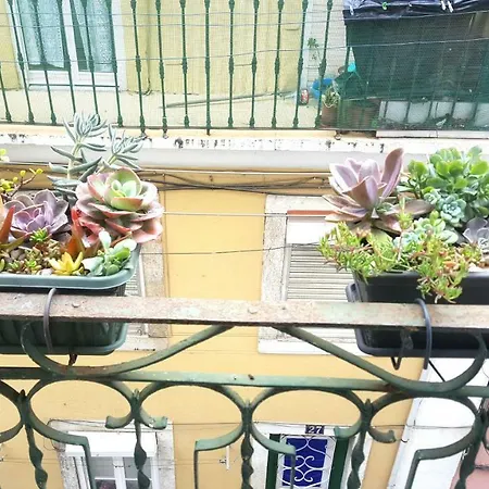 Misericordia! Bairro Alto Concept Appartement