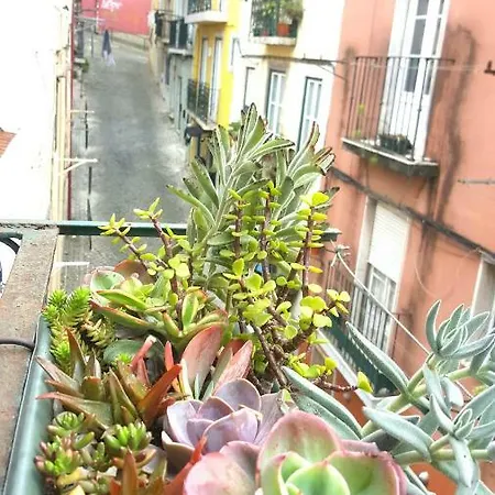 アパート Misericordia! Bairro Alto Concept *